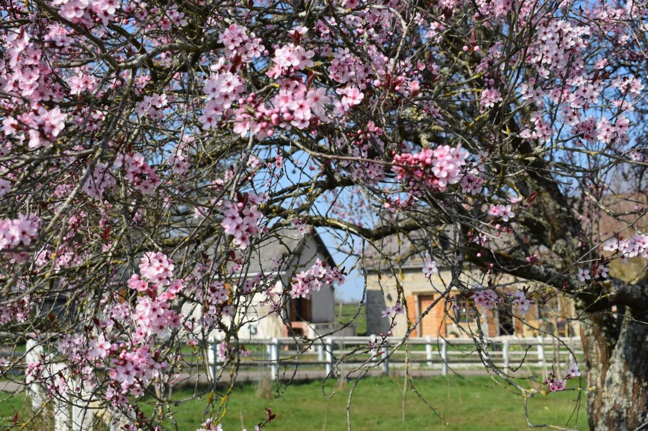 Le Chene D'Or Bed & Breakfast Marcheseuil Dış mekan fotoğraf
