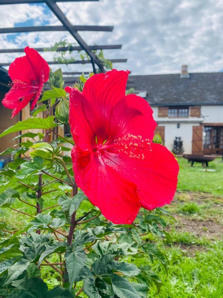 Le Chene D'Or Bed & Breakfast Marcheseuil Dış mekan fotoğraf