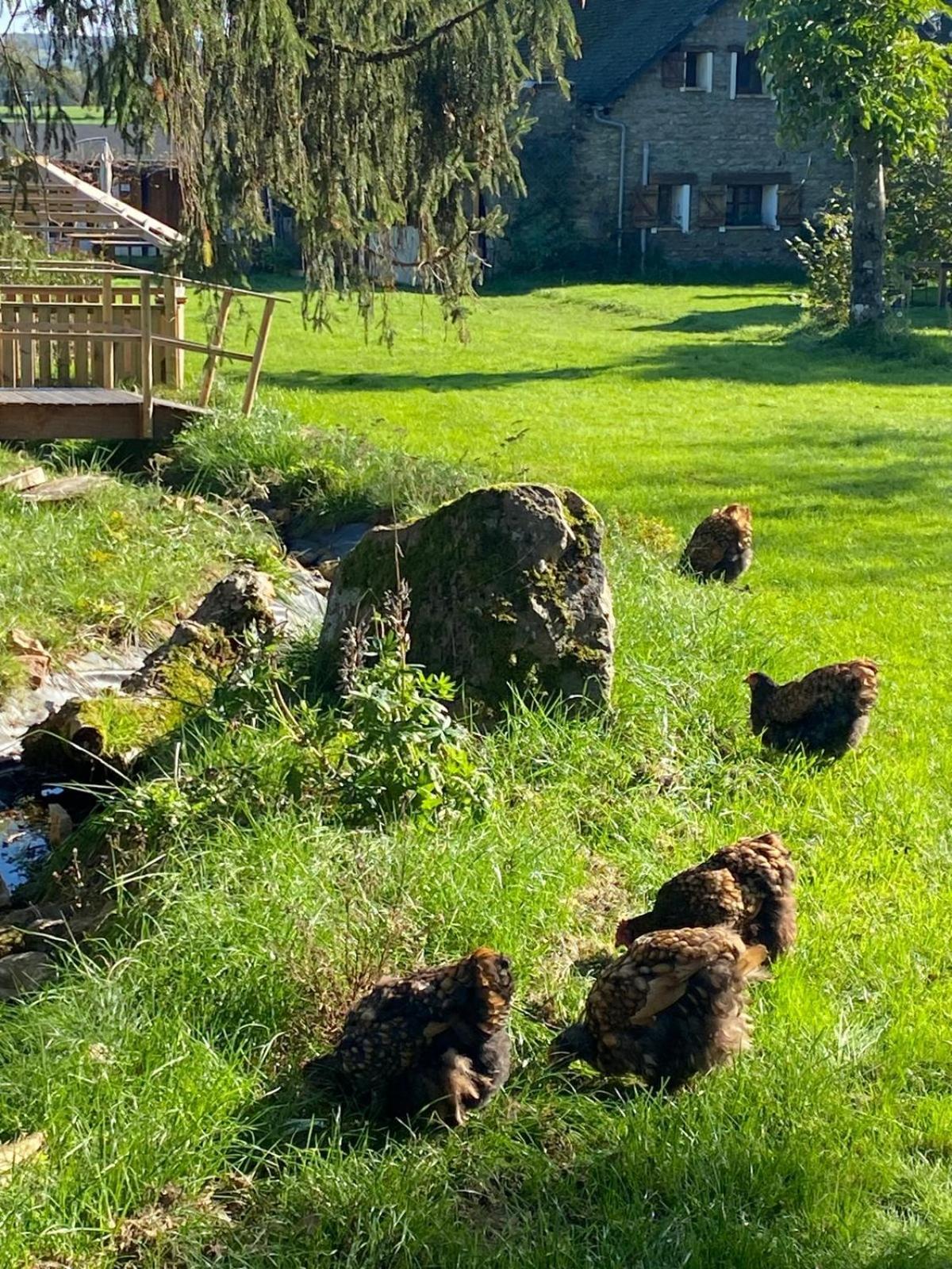 Le Chene D'Or Bed & Breakfast Marcheseuil Dış mekan fotoğraf